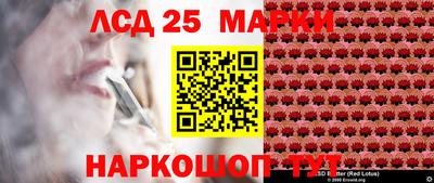 СК Кандалакша