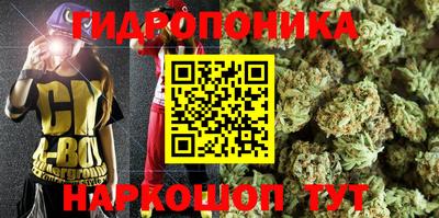 СК Кандалакша