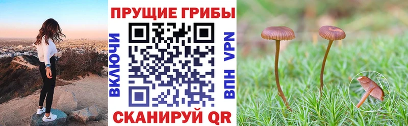 Псилоцибиновые грибы мухоморы  Луга 