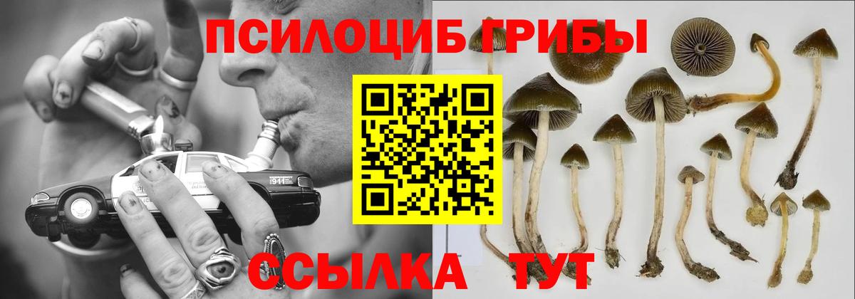 Луга  Галлюциногенные грибы Magic Shrooms  Вход с VPN  как найти   Псилоцибиновые грибы мухоморы 