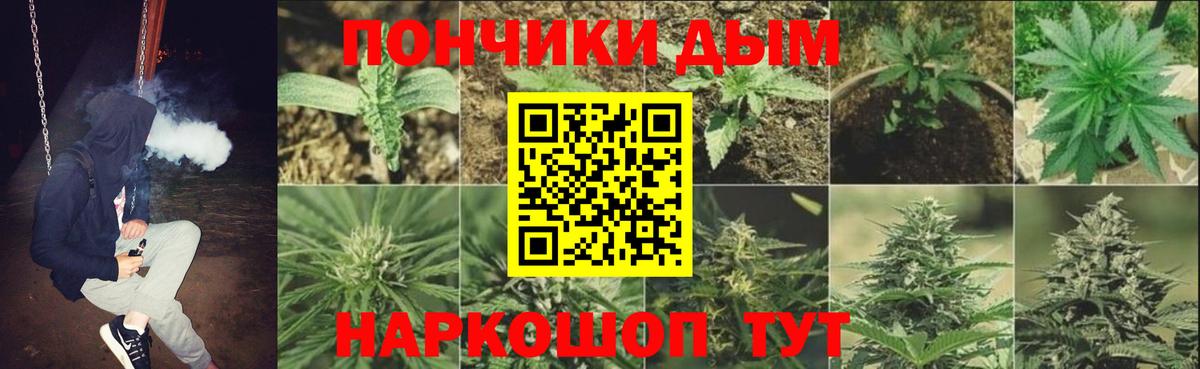 Каннабис индика Луга